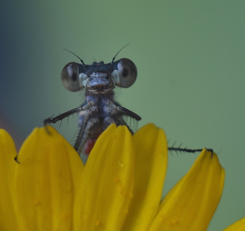 Photograph by @bersenika