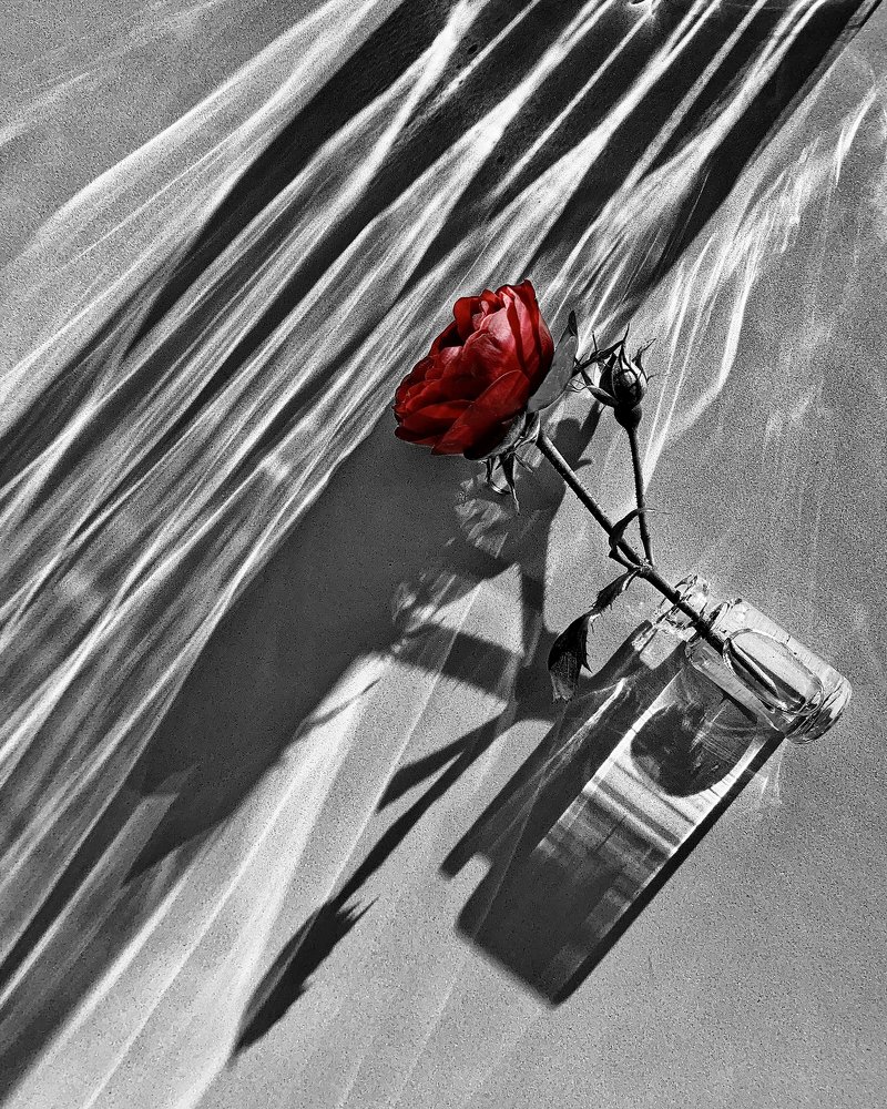 Photograph by Людмила Ефремова