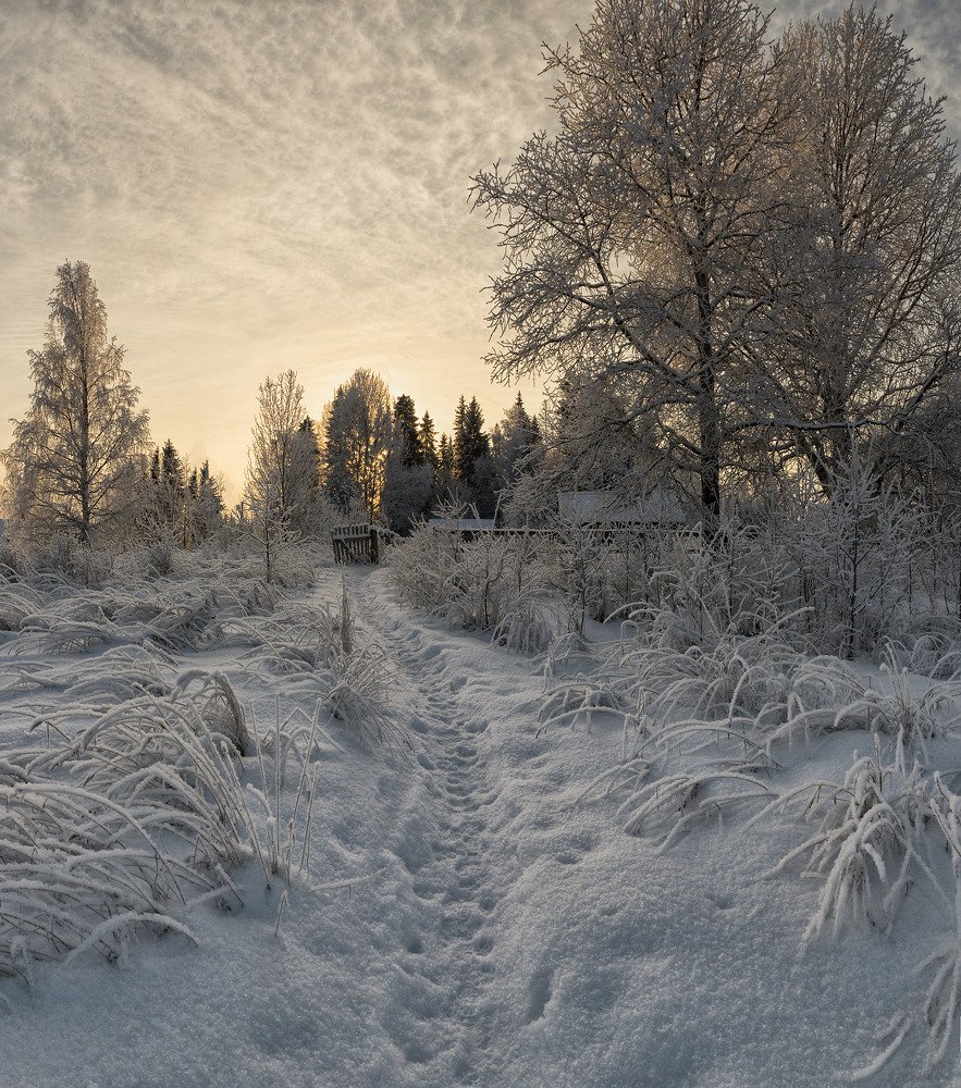 Photograph by Федор Кованский