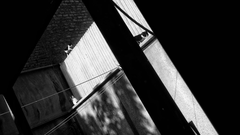 Photograph by Zohre sadat Lajevardi