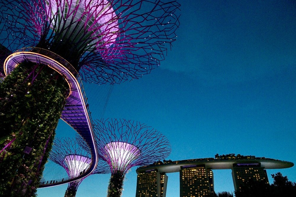 Photograph by Ankit Mudgal