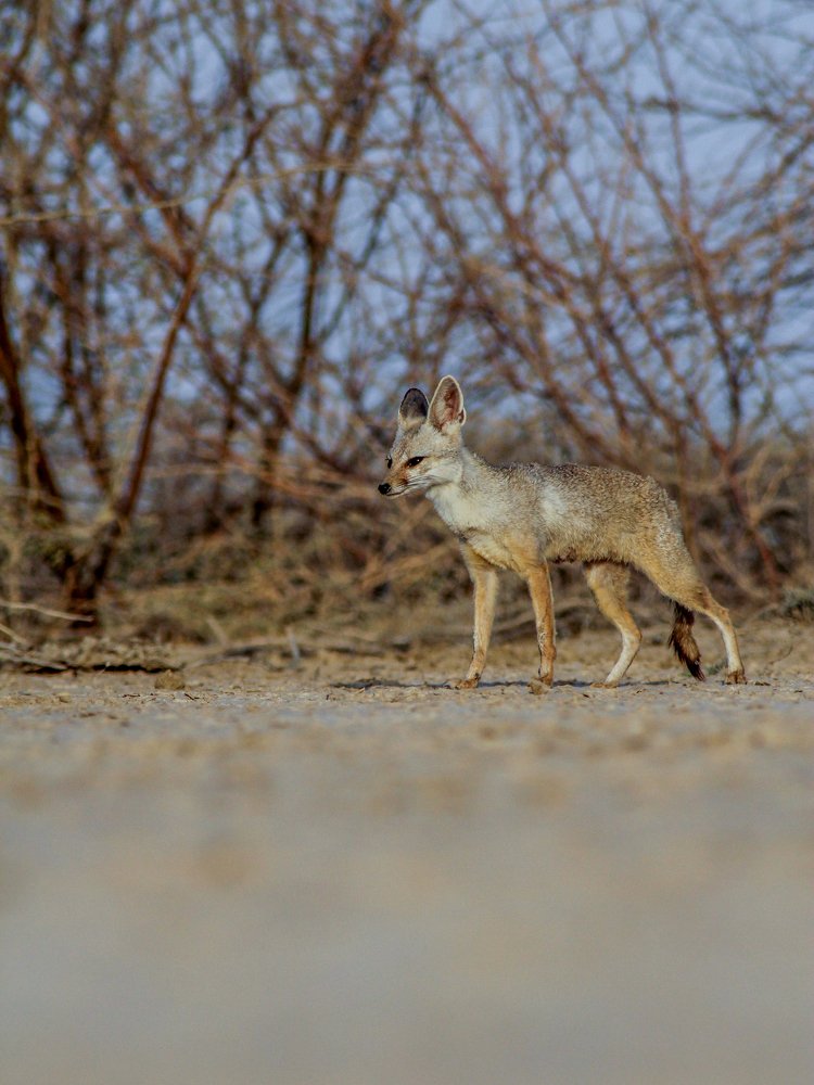 Photograph by Lalit Tank