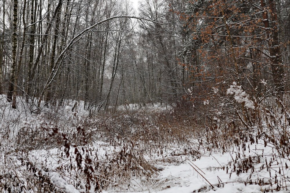 Photograph by Константин Лагоденко