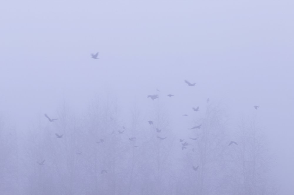 Непрекращающееся движение