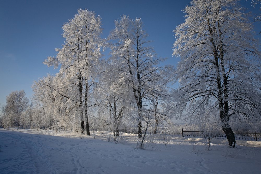 Photograph by Родичев Игорь Леонидович