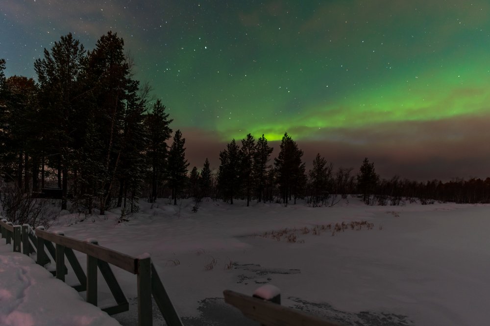 Фотография автора Michael Steindl