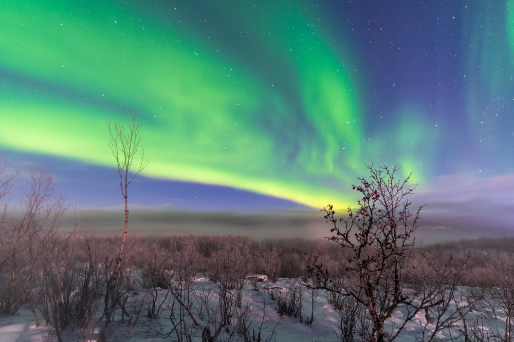 Фотография автора Michael Steindl