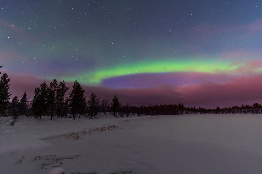 Фотография автора Michael Steindl