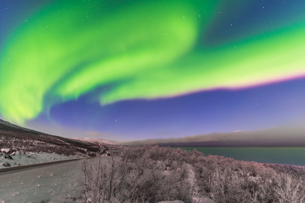 Фотография автора Michael Steindl