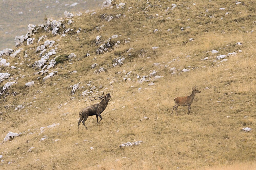 Photograph by Stefano