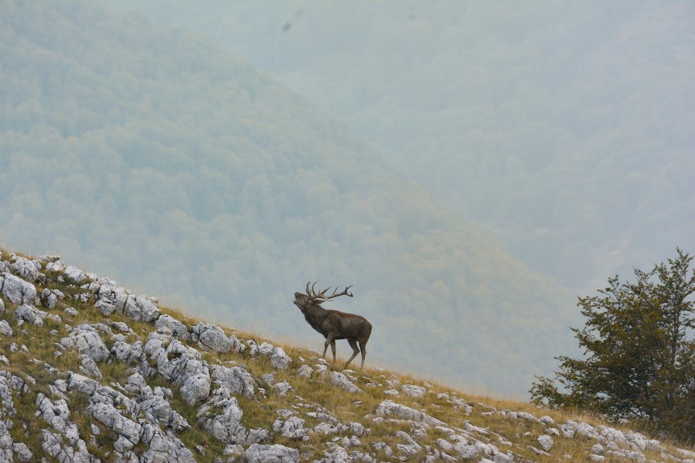 Photograph by Stefano