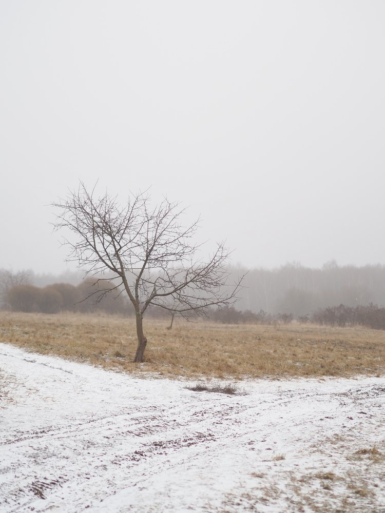 Photograph by Ольга Львова