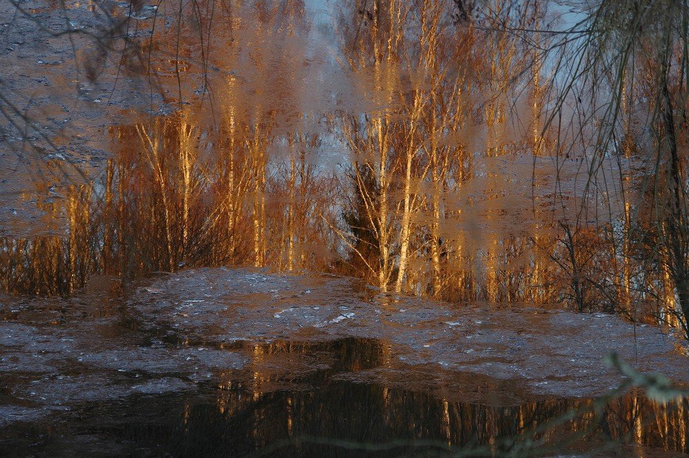 Первый лёд...