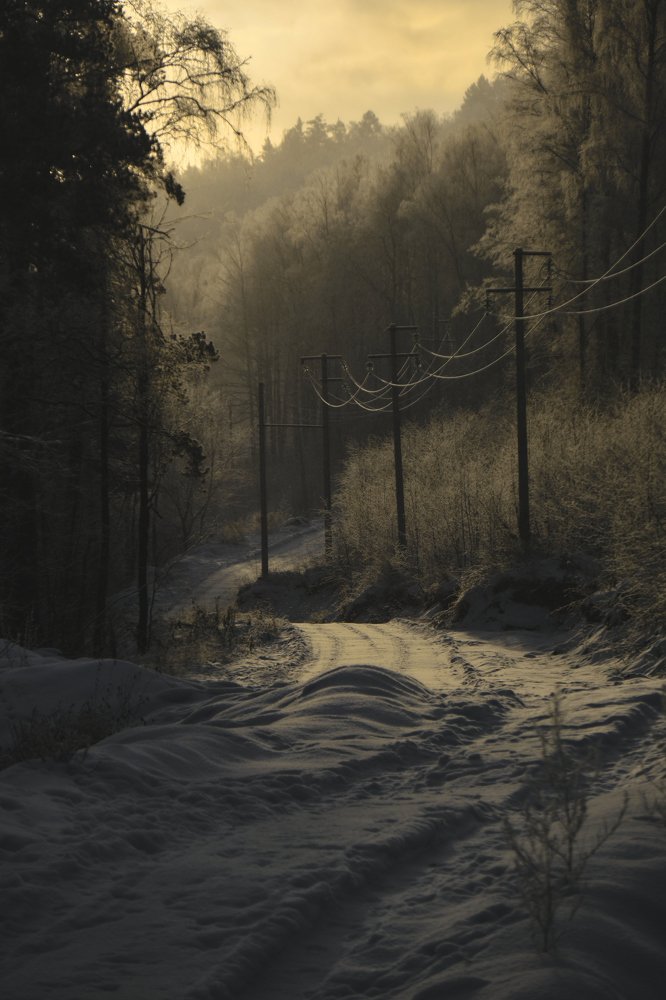 Photograph by Евгений Пташко