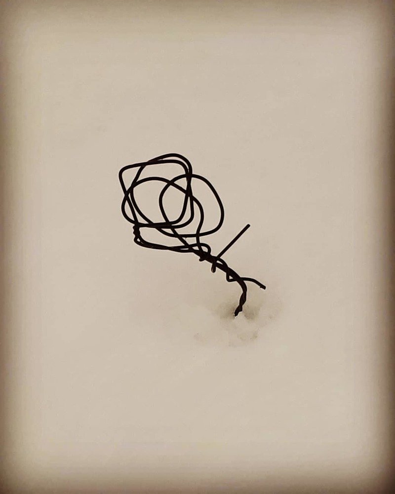 Photograph by Annalisa Fioretti