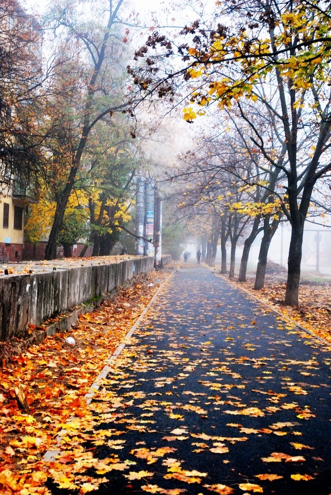 Photograph by Андрей Тарасов