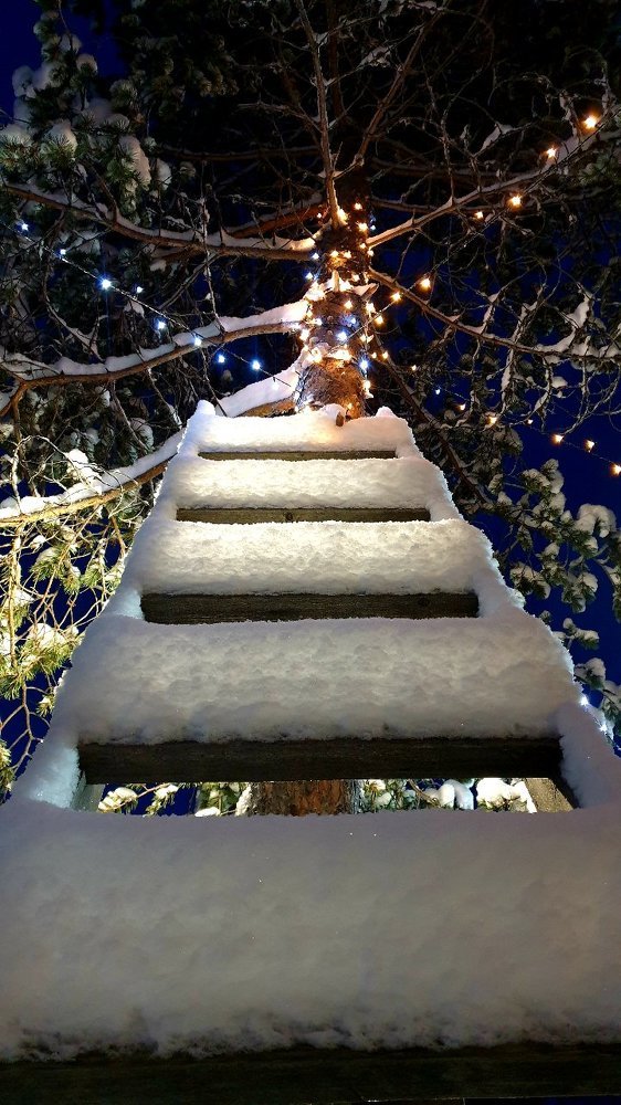 Photograph by SERGEY GORODOV