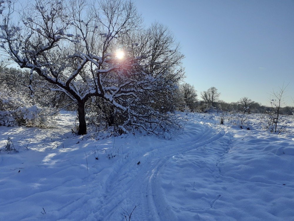 Photograph by Artem Gibner