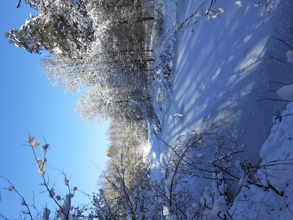 Photograph by Artem Gibner