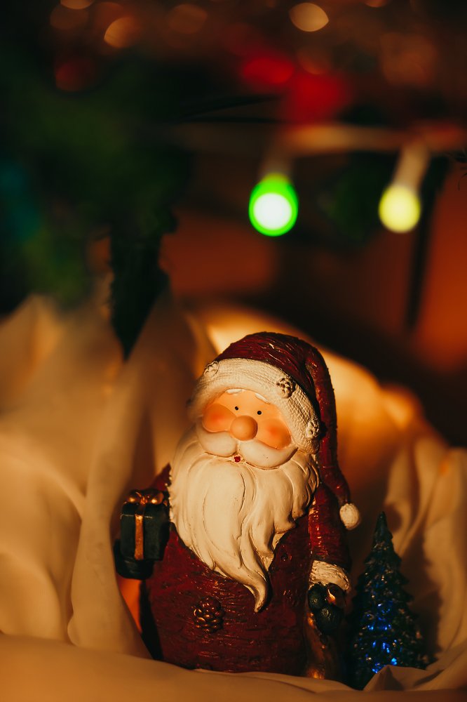 Photograph by Светлана