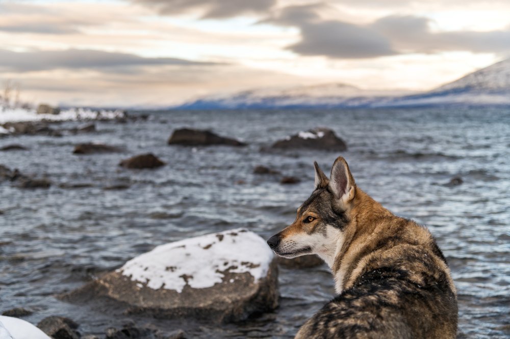 Фотография автора Michael Steindl