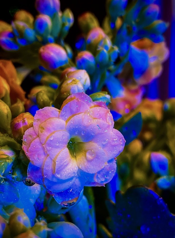 Photograph by Сергей Марченков