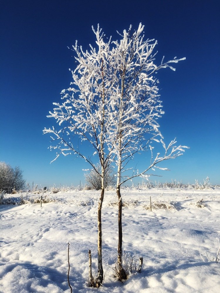 Photograph by Марина Данилюк
