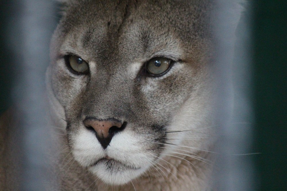 Photograph by Валентина