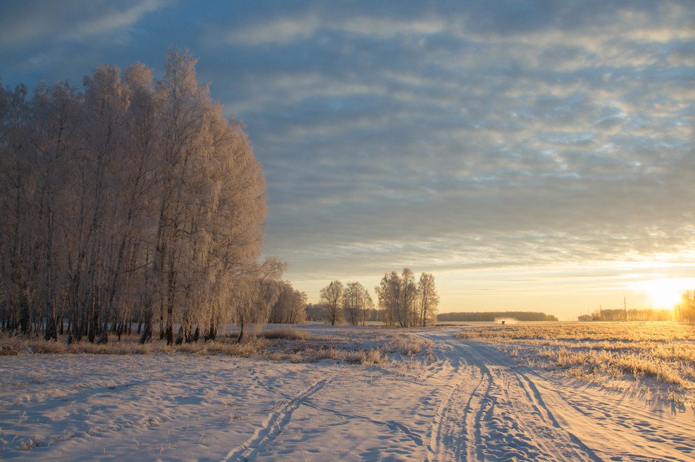 Photograph by Евгения Антропова