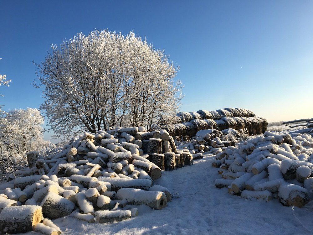Зима в деревне