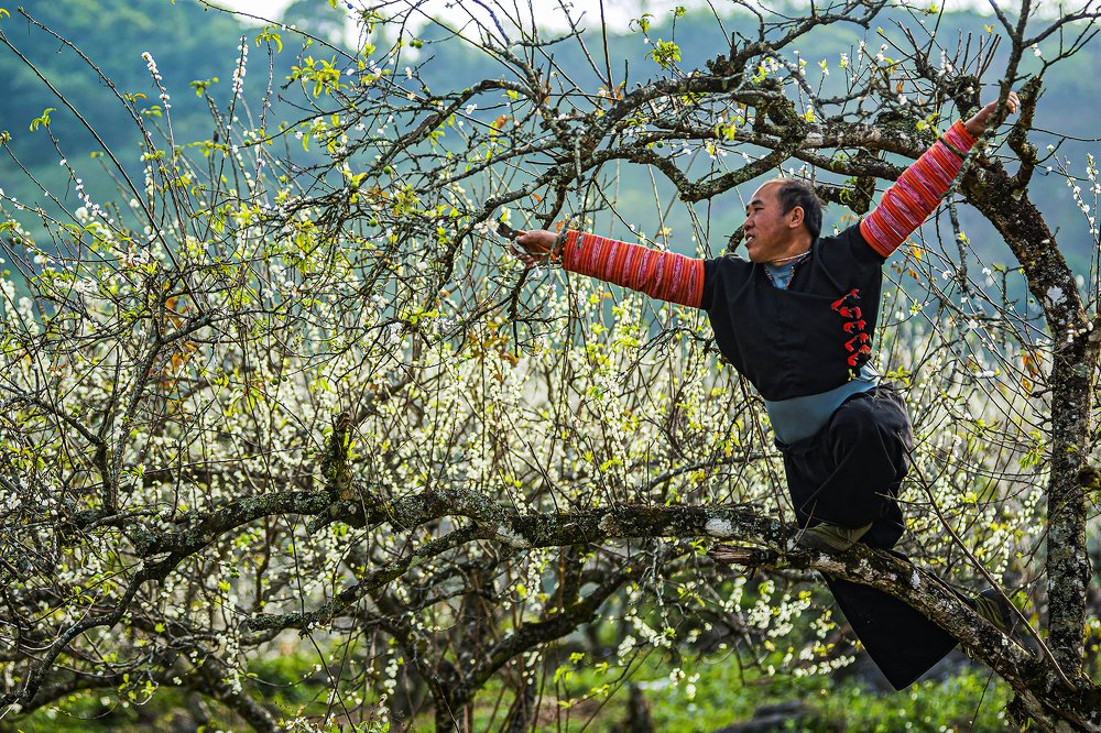 Photograph by Hợp Lò