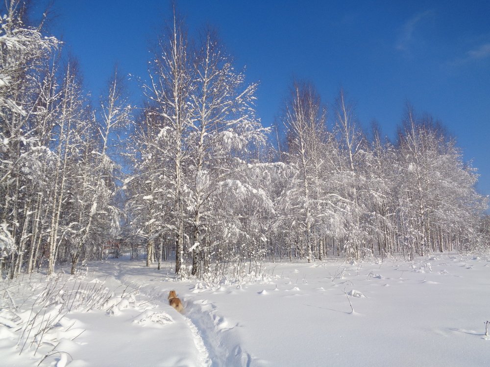 Русская  Зима