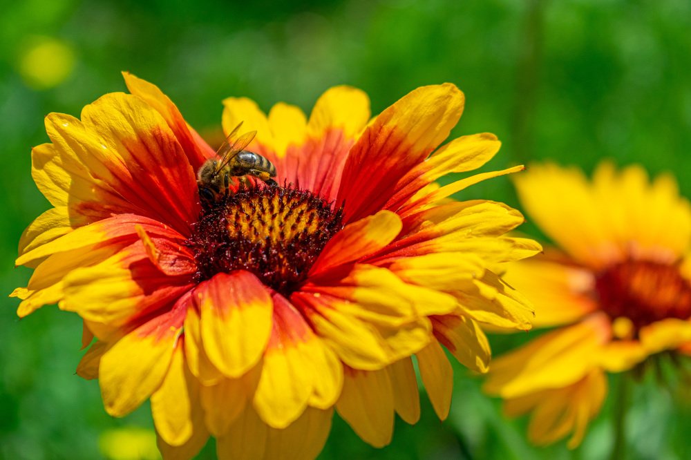 Photograph by Марина Голик