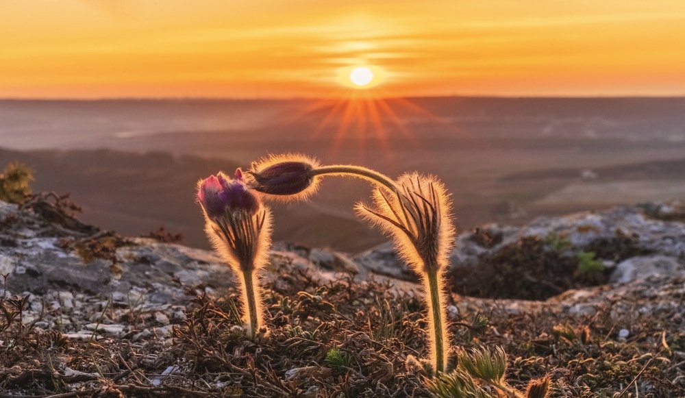 Поцелуй на закате