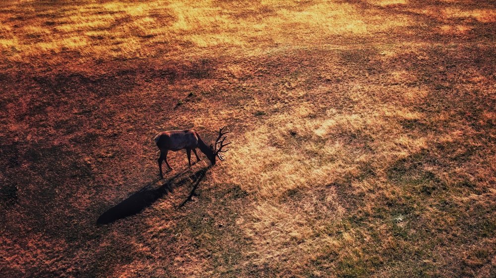 Photograph by Станислав