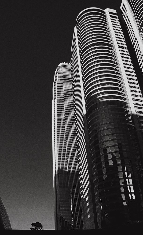 Фотография автора Елена Лаврова