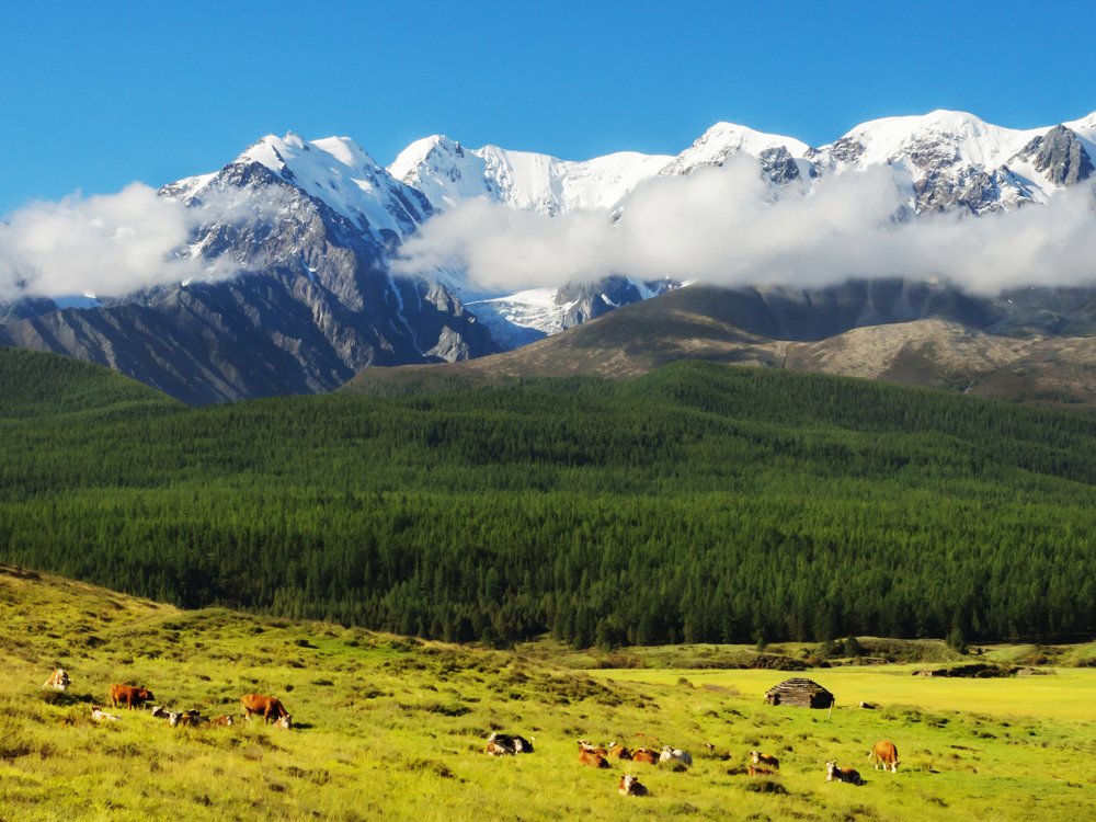 Photograph by Ольга Беккер