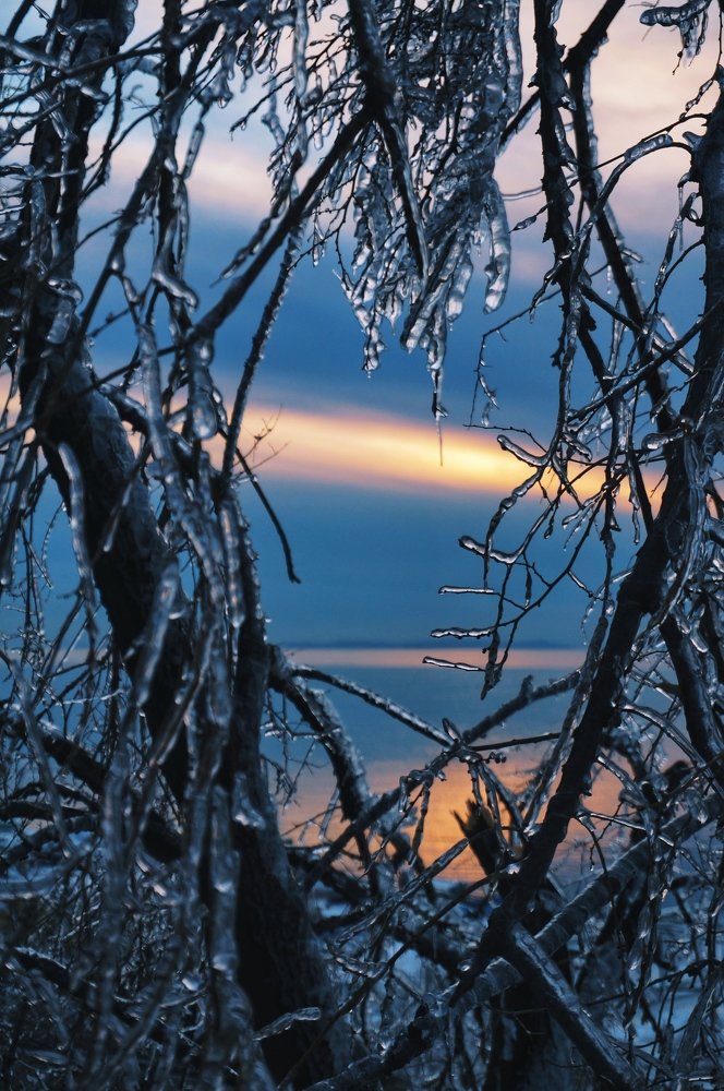 Photograph by Юлия Авсеенко