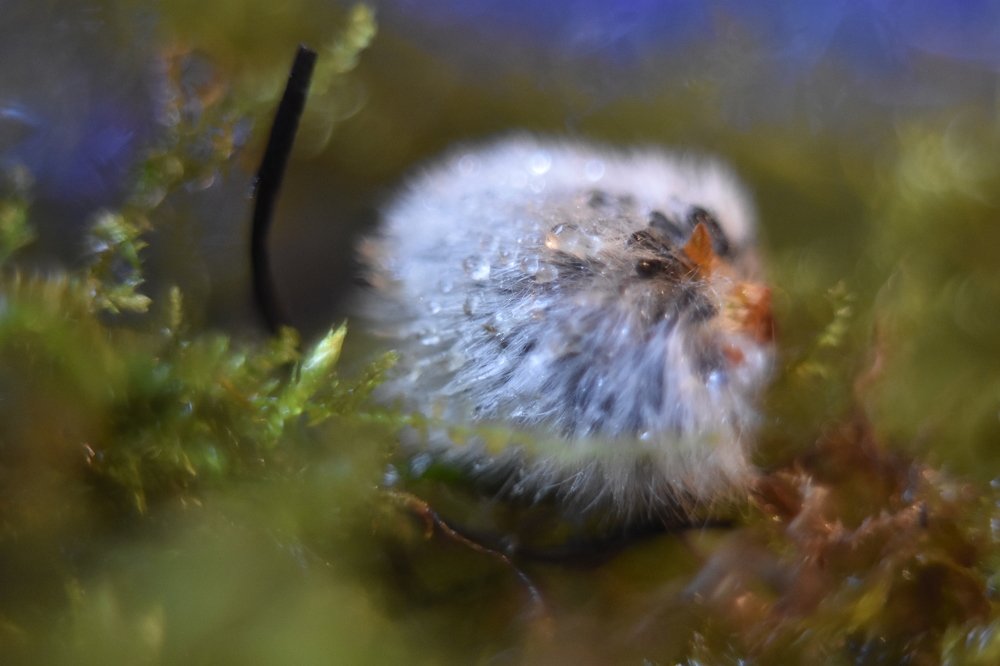 Photograph by Анастасия Орлова