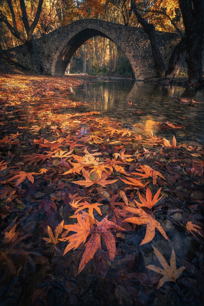 Photograph by Evgeni Fabis