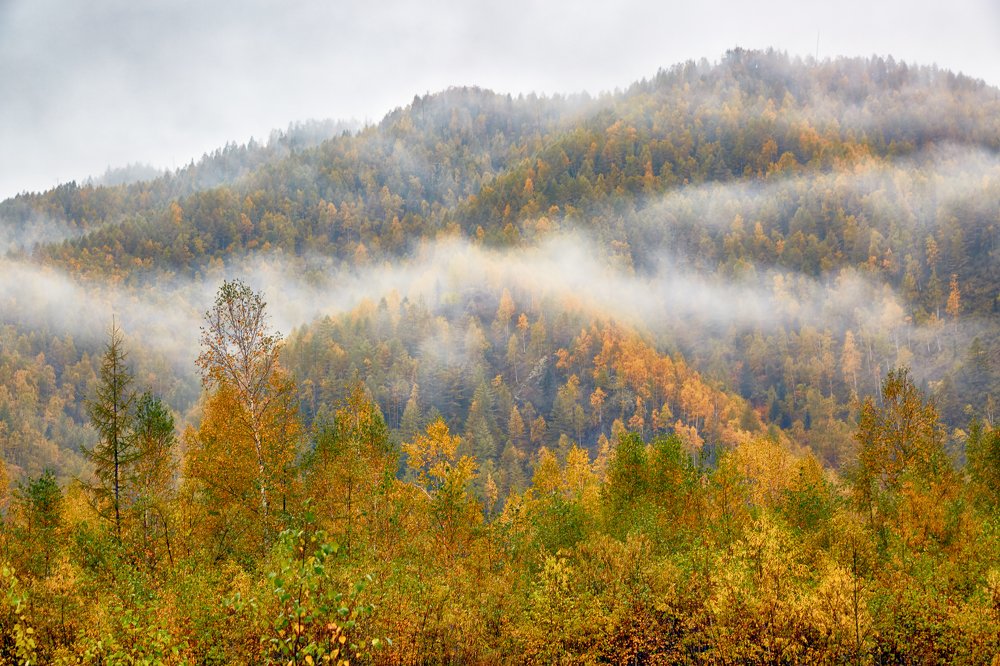Photograph by Андрей Фролов