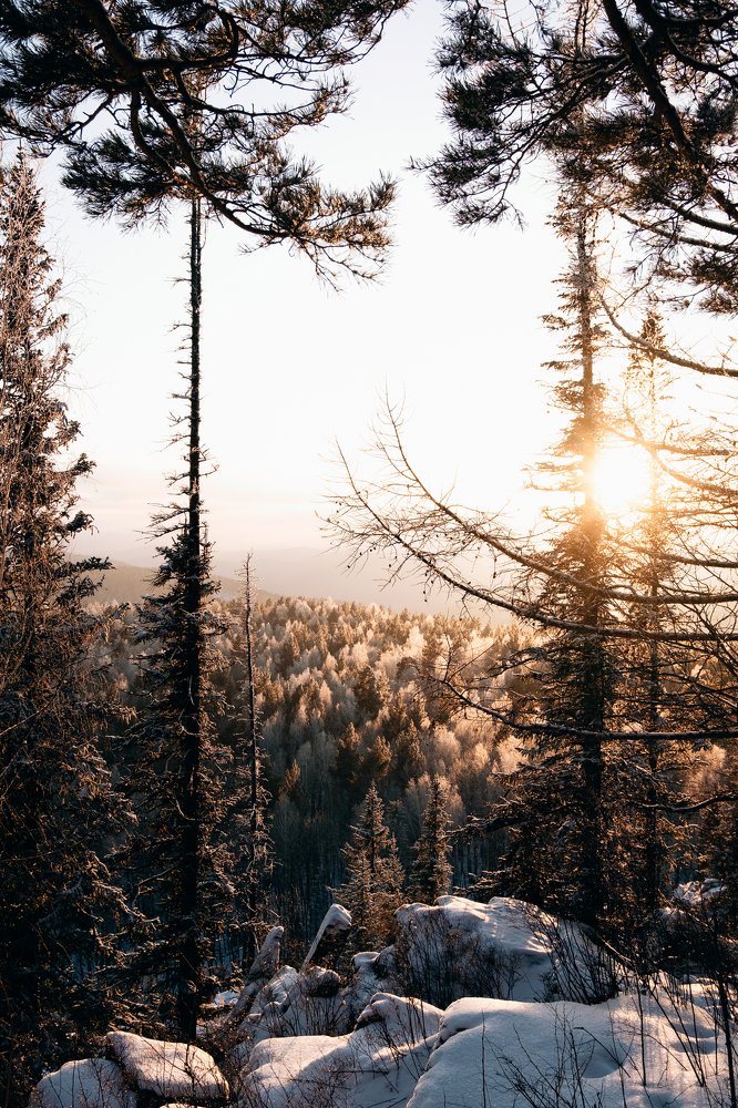 Фотография автора Дмитрий Ширнин