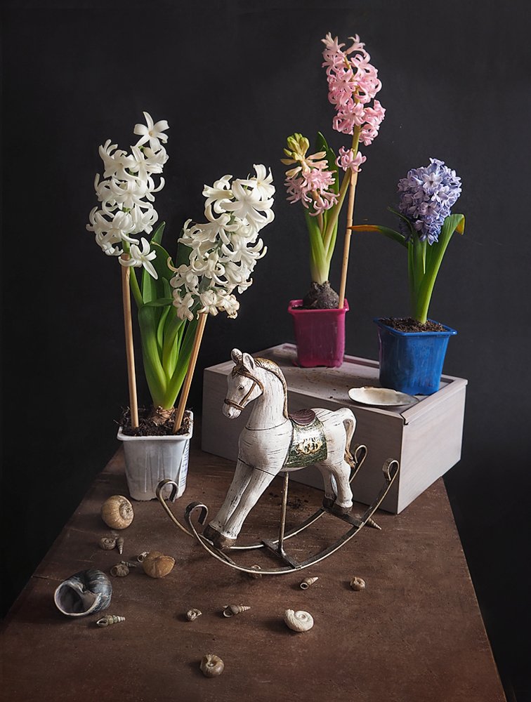 Фотография автора Vera Eremeeva