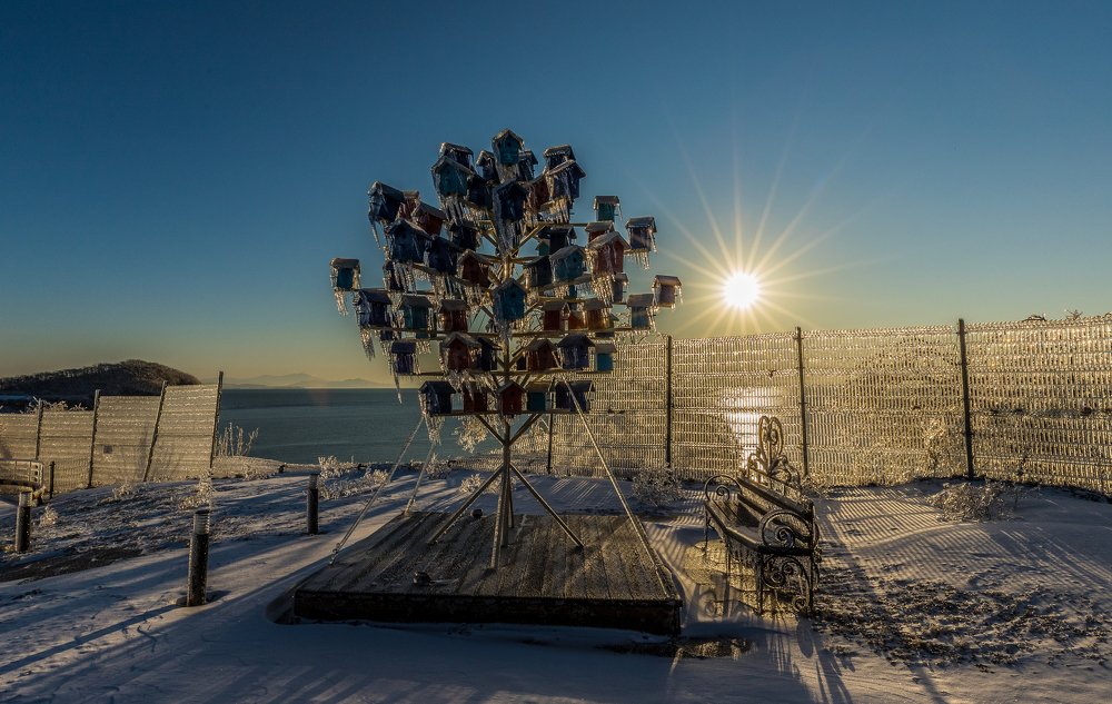 Photograph by Николай Чухрай