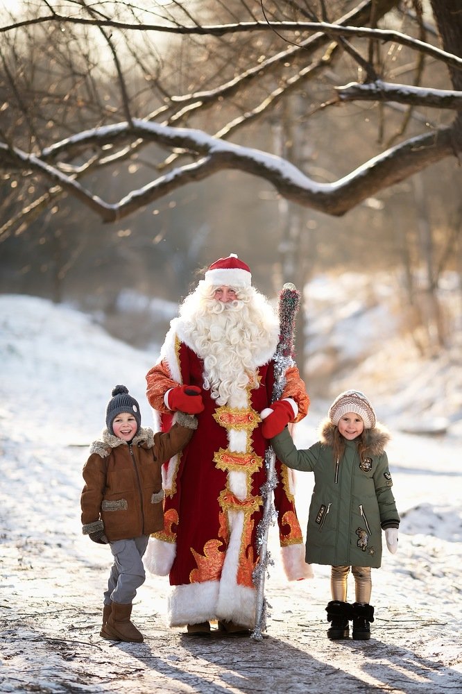 Фотография автора Анна Крутицкая