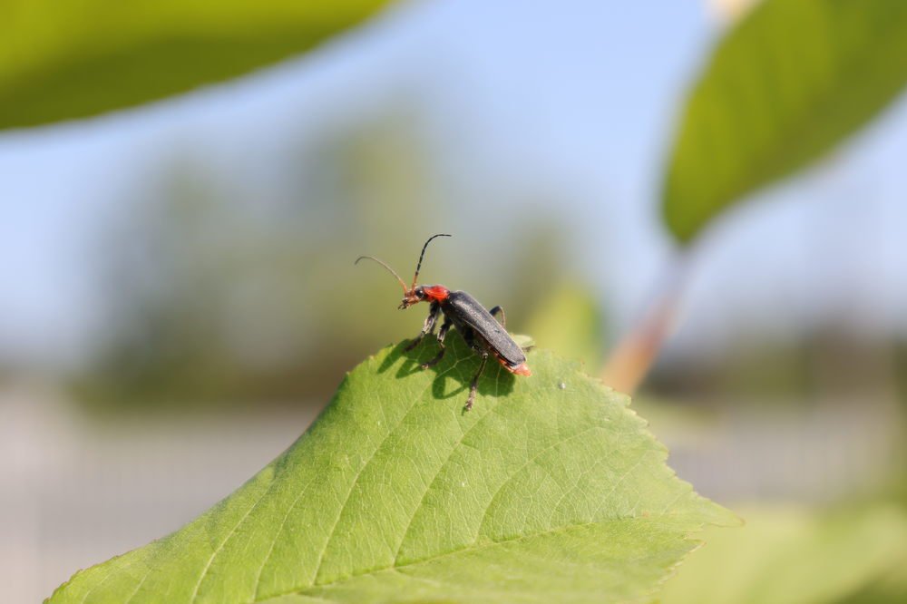Photograph by Екатерина Слепнева