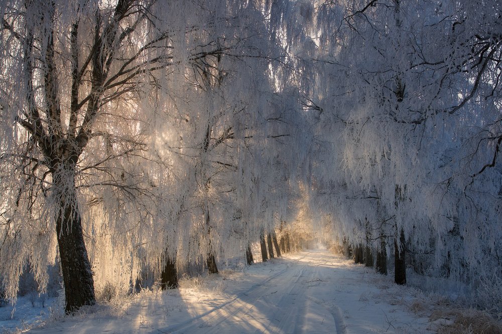 Photograph by Justas Gulbinskas