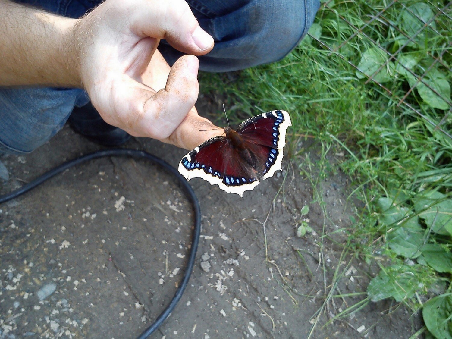 Photo #5392706