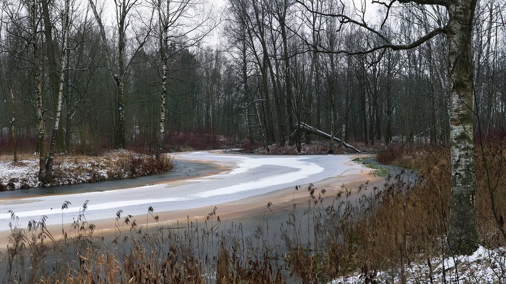 Photograph by Олег Данильченко