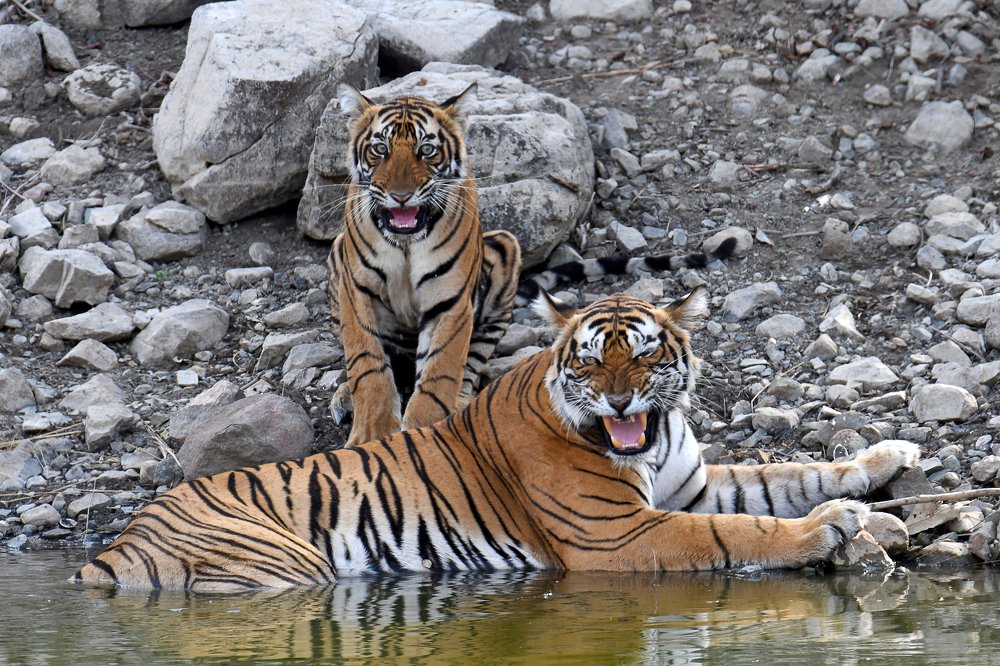 Photograph by Yuwaraj Gurjar